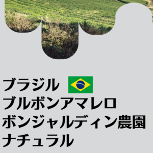 ブラジル　ブルボンアマレロ　ボンジャルディン農園 100g