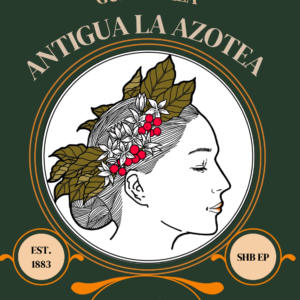 グアテマラ　アンティグア　アゾテア農園　ブルボンＳＨＢ 100g