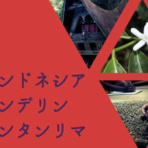 インドネシア　マンデリン　ビンタンリマ 100g